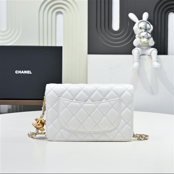 2026127205129529 560